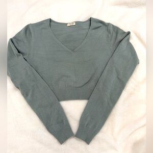 John Galt Brandy Melville cropped v-neck sweater